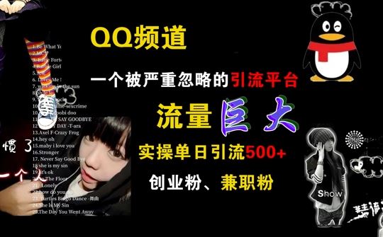 QQ频道，一个被严重忽略的引流平台，流量巨大 实操单日引流500+创业粉兼职粉【揭秘】-搞钱花