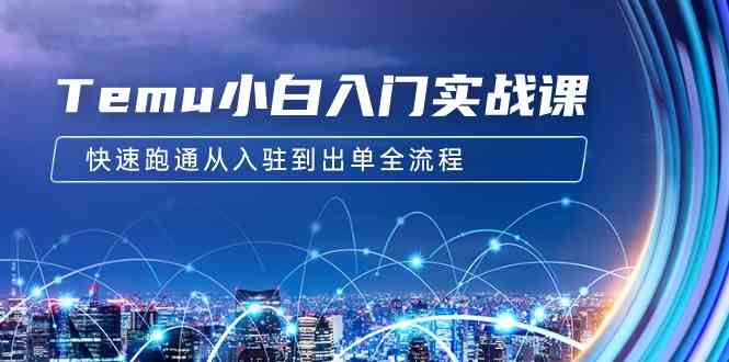 （9295期）Temu小白入门实战课：跨境拼多多电商培训 快速跑通从入驻到出单全流程-12节-搞钱花