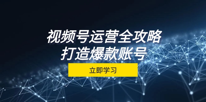 视频号运营全攻略，从定位到成交一站式学习，视频号核心秘诀，打造爆款账号-搞钱花