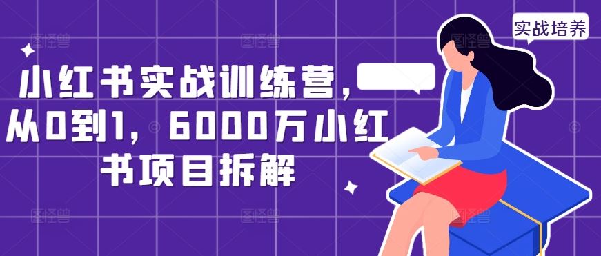 小红书实战训练营，从0到1，6000万小红书项目拆解-搞钱花