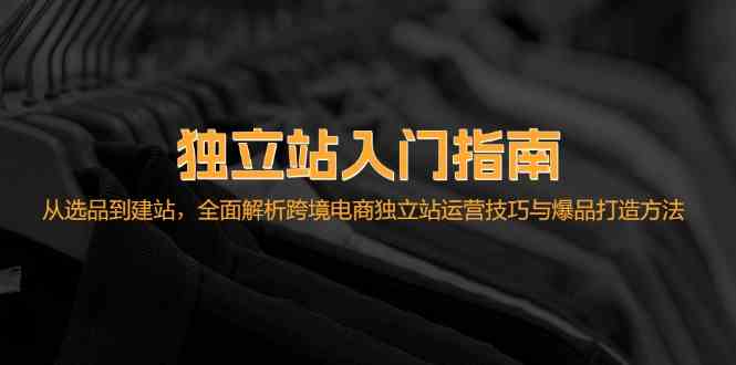 独立站入门指南：从选品到建站，全面解析跨境电商独立站运营技巧与爆品打造方法-搞钱花