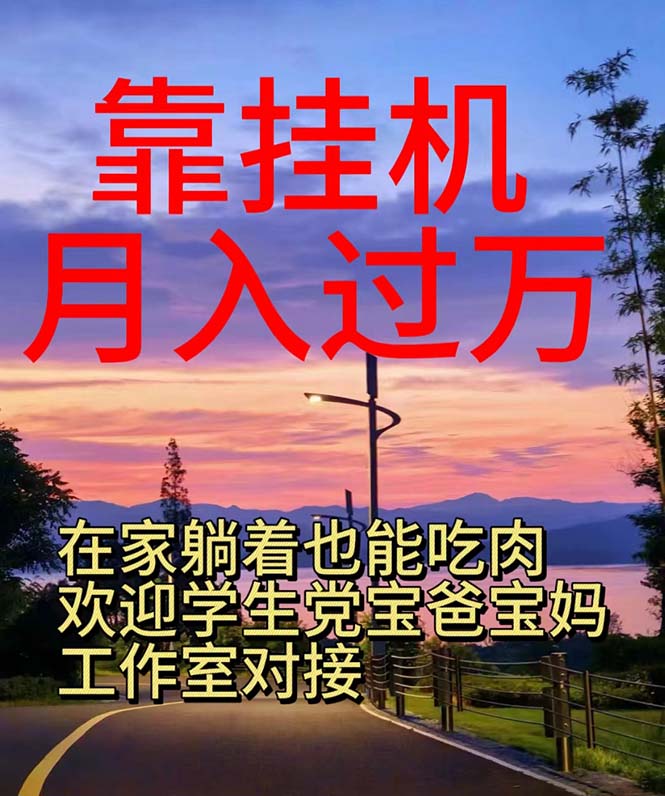 （10838期）靠挂机，日入1000+，躺着也能吃肉，适合宝爸宝妈学生党工作室，电脑手…-搞钱花