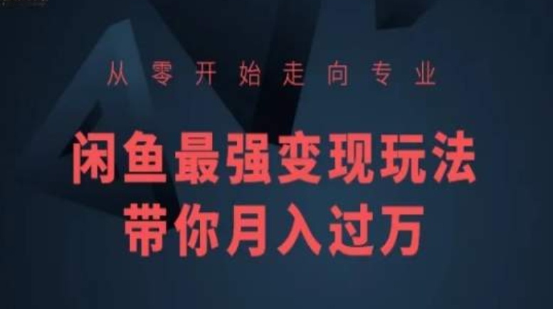 从零开始走向专业，闲鱼最强变现玩法带你月入过万-搞钱花
