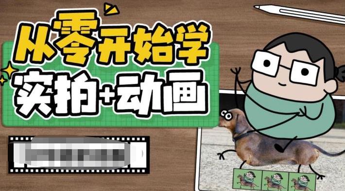 从零开始学实拍加动画，实拍加动画创意教程（49节视频课）-搞钱花