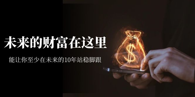 某收费文章《未来的财富在这里》能让你至少在未来的10年站稳脚跟-搞钱花