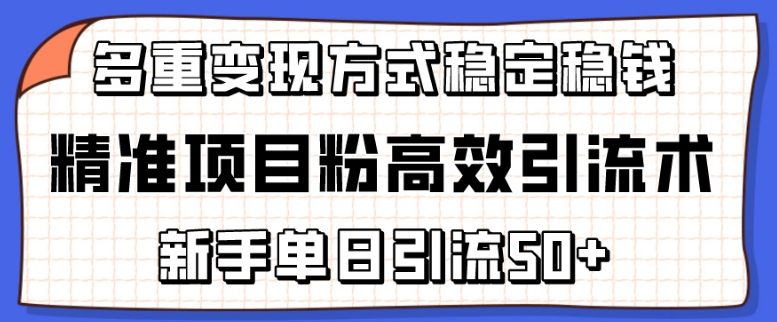 精准项目粉高效引流术,新手单日引流50+,多重变现方式稳定赚钱-搞钱花