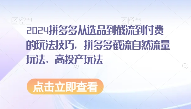 2024拼多多从选品到截流到付费的玩法技巧,拼多多截流自然流量玩法,高投产玩法-搞钱花