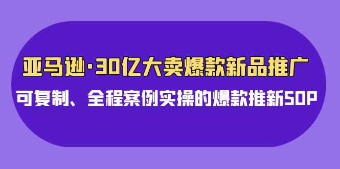 亚马逊30亿大卖爆款新品推广，可复制、全程案例实操的爆款推新SOP-搞钱花