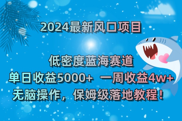 2024最新风口项目 低密度蓝海赛道，日收益5000+周收益4w+ 无脑操作-搞钱花