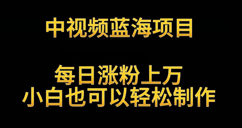 中视频蓝海项目,解读英雄人物生平,每日涨粉上万,小白也可以轻松制作,月入过万不是梦-搞钱花