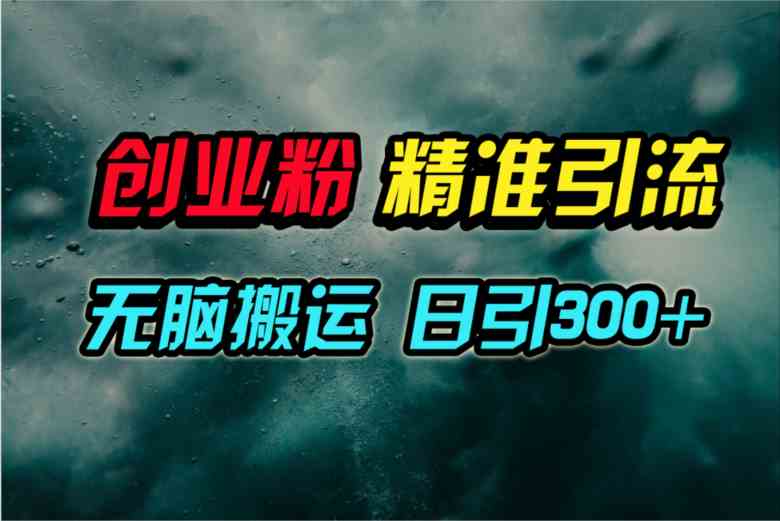 （9875期）视频号纯搬运日引300+创业粉教程！-搞钱花