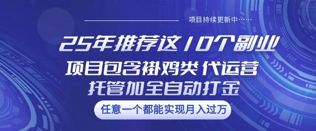 25年推荐这10个副业项目包含褂鸡类、代运营托管类、全自动打金类【揭秘】-搞钱花