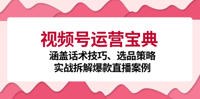 视频号运营宝典：涵盖话术技巧、选品策略、实战拆解爆款直播案例-搞钱花