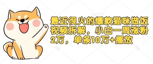 最近很火的爆款猫咪做饭视频拆解，小白一周涨粉2万，单条10万+播放(附保姆级教程)-搞钱花
