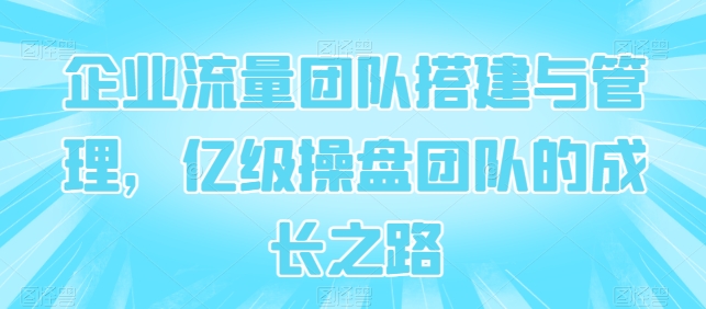 企业流量团队搭建与管理，亿级操盘团队的成长之路-搞钱花
