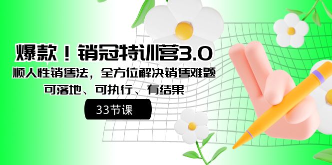 爆款!销冠特训营3.0之顺人性销售法,全方位解决销售难题、可落地-搞钱花