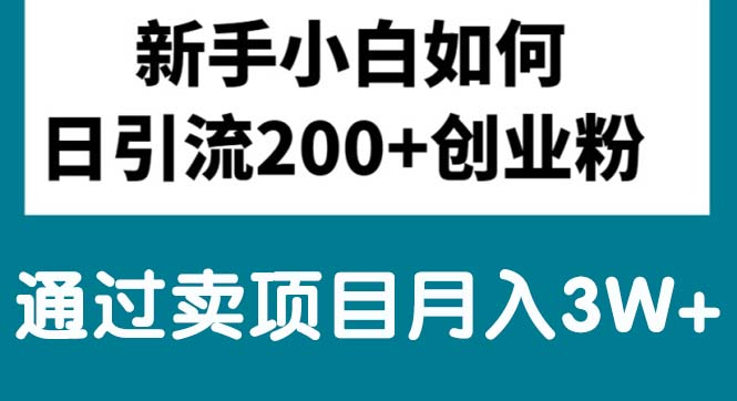 （10843期）新手小白日引流200+创业粉,通过卖项目月入3W+-搞钱花