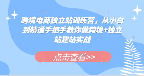 跨境电商独立站训练营，从小白到精通手把手教你做跨境+独立站建站实战-搞钱花