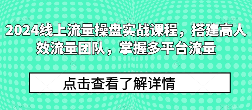 2024线上流量操盘实战课程,搭建高人效流量团队,掌握多平台流量-搞钱花