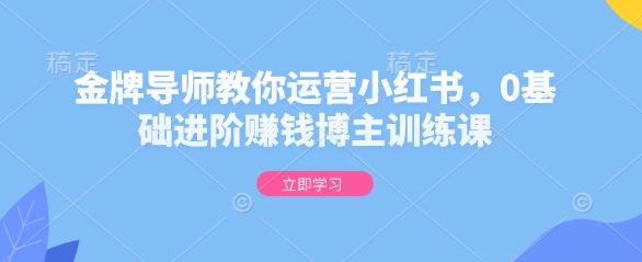 金牌导师教你运营小红书，0基础进阶赚钱博主训练课-搞钱花