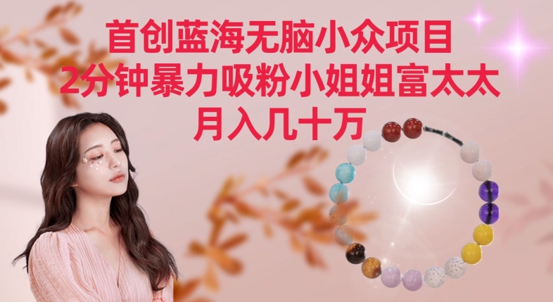 首创蓝海无脑小众项目,2分钟暴力吸粉小姐姐富太太,月入几十万-搞钱花