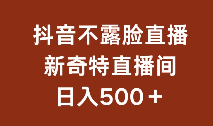 不露脸挂机直播，新奇特直播间，日入500+-搞钱花