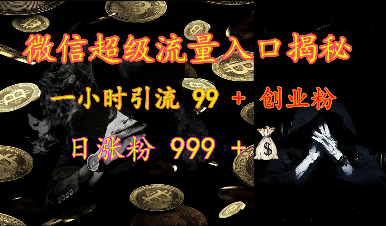 微信超级流量入口揭秘：一小时引流 99 + 创业粉，日涨粉 999 +【揭秘】-搞钱花