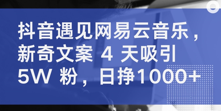 抖音遇见网易云音乐,新奇文案 4 天吸引 5W 粉,日挣1000+-搞钱花