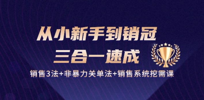 从小新手到销冠 三合一速成：销售3法+非暴力关单法+销售系统挖需课 (27节)-搞钱花
