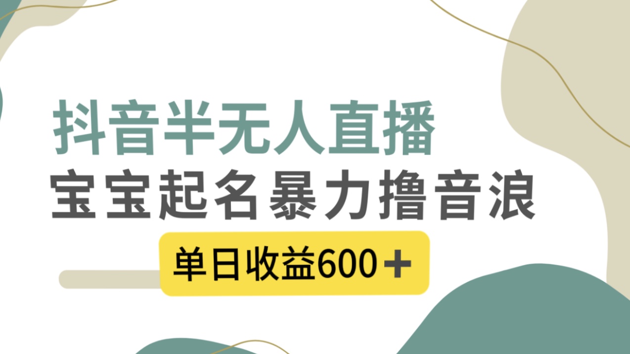 抖音半无人直播,宝宝起名,暴力撸音浪,单日收益600+-搞钱花