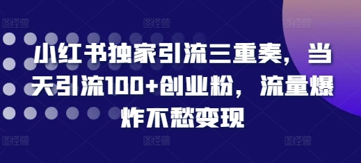 小红书独家引流三重奏，当天引流100+创业粉，流量爆炸不愁变现【揭秘】-搞钱花
