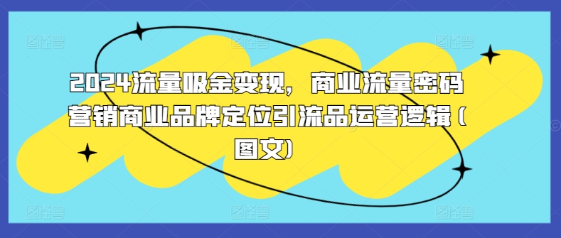 2024流量吸金变现，商业流量密码营销商业品牌定位引流品运营逻辑(图文)-搞钱花
