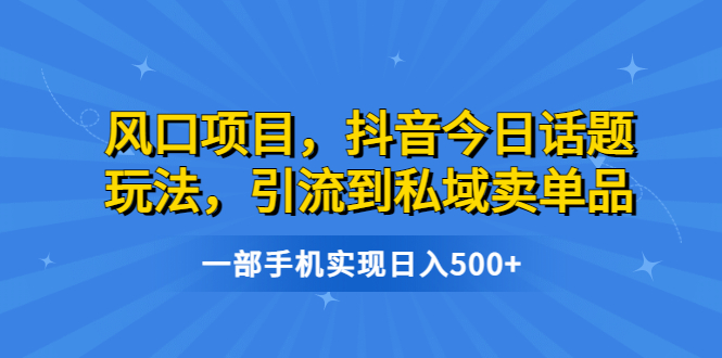 风口项目,抖音今日话题玩法,引流到私域卖单品,一部手机实现日入500+-搞钱花