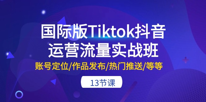 （10712期）国际版Tiktok抖音运营流量实战班：账号定位/作品发布/热门推送/等等-13节-搞钱花