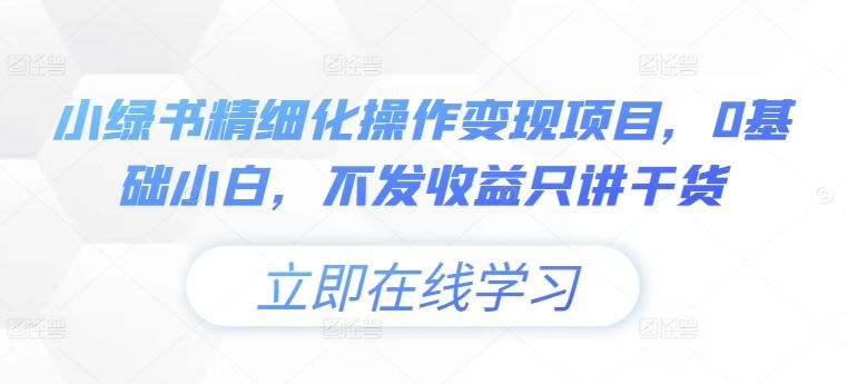 小绿书精细化操作变现项目,0基础小白,不发收益只讲干货-搞钱花