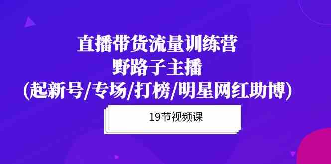 直播带货流量特训营，野路子主播(起新号/专场/打榜/明星网红助博)-搞钱花