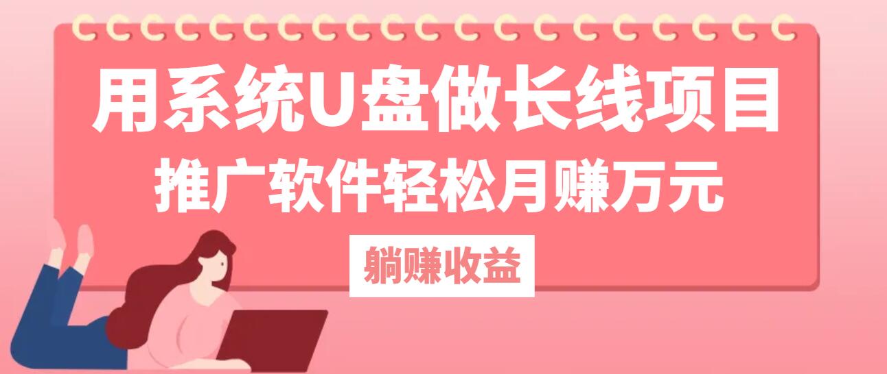 用系统U盘做长线项目，推广软件轻松月赚万元-搞钱花