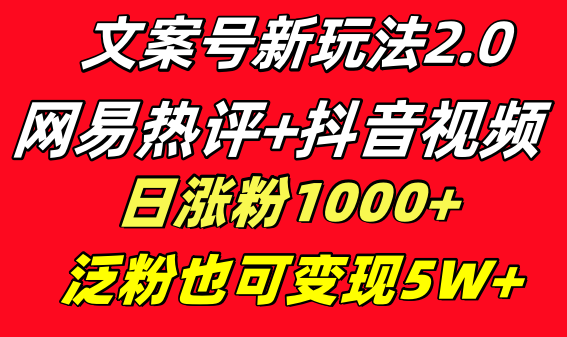 文案号新玩法 网易热评+抖音文案 一天涨粉1000+ 多种变现模式 泛粉也可变现-搞钱花