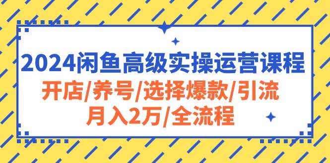 （10711期）2024闲鱼高级实操运营课程：开店/养号/选择爆款/引流/月入2万/全流程-搞钱花