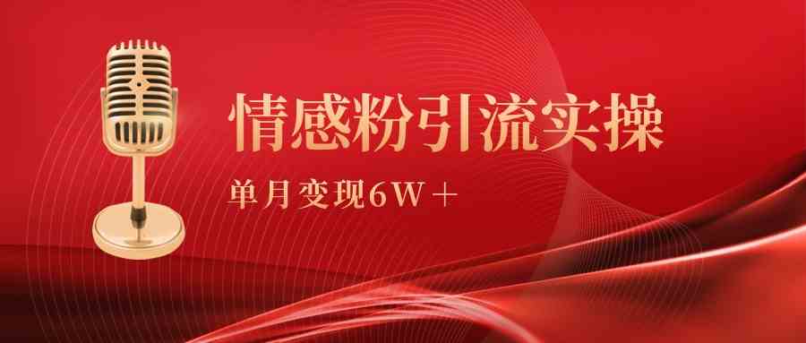 （9473期）单月变现6w+，情感粉引流变现实操课-搞钱花