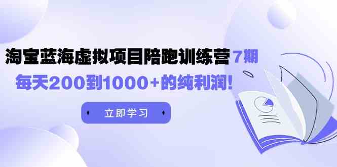 （9541期）黄岛主《淘宝蓝海虚拟项目陪跑训练营7期》每天200到1000+的纯利润-搞钱花