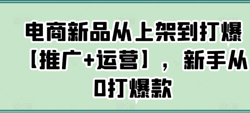 电商新品从上架到打爆【推广+运营】，新手从0打爆款-搞钱花