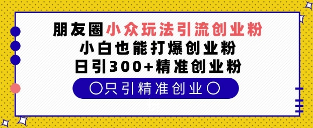 朋友圈小众玩法引流创业粉，小白也能打爆创业粉，日引300+精准创业粉【揭秘】-搞钱花