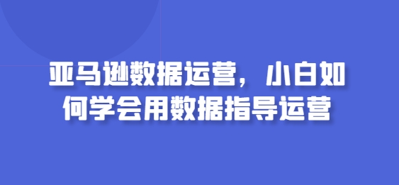 亚马逊数据运营，小白如何学会用数据指导运营-搞钱花