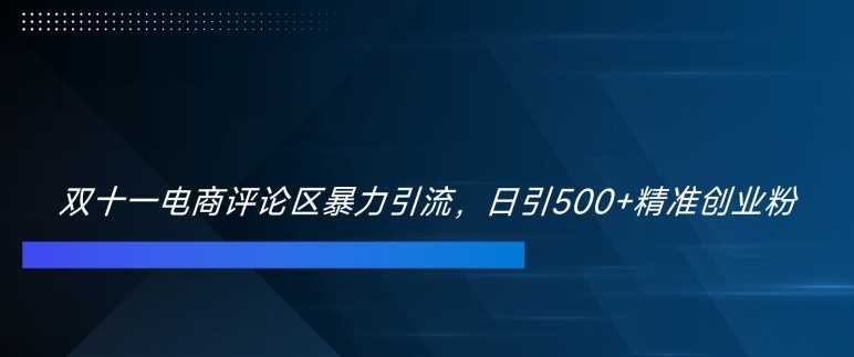 双十一电商评论区暴力引流，日引500+精准创业粉【揭秘】-搞钱花