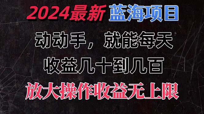 有手就行的2024全新蓝海项目，每天1小时收益几十到几百，可放大操作-搞钱花