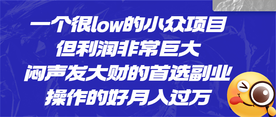 一个很low的小众项目，但利润非常巨大，闷声发大财的首选副业，月入过万-搞钱花