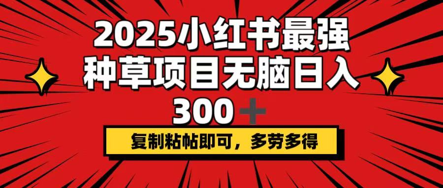 2025小红书最强种草项目，无脑日入300+，复制粘帖即可，多劳多得-搞钱花