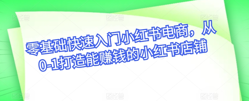 零基础快速入门小红书电商，从0-1打造能赚钱的小红书店铺-搞钱花