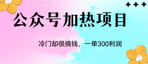 冷门公众号加热项目,一单利润300+-搞钱花